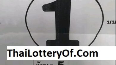 Photo of Thai Lottery Latest Single Digits Pair 1/10/66