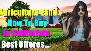 Photo of How to Buy Agriculture Land in California with Government Policy